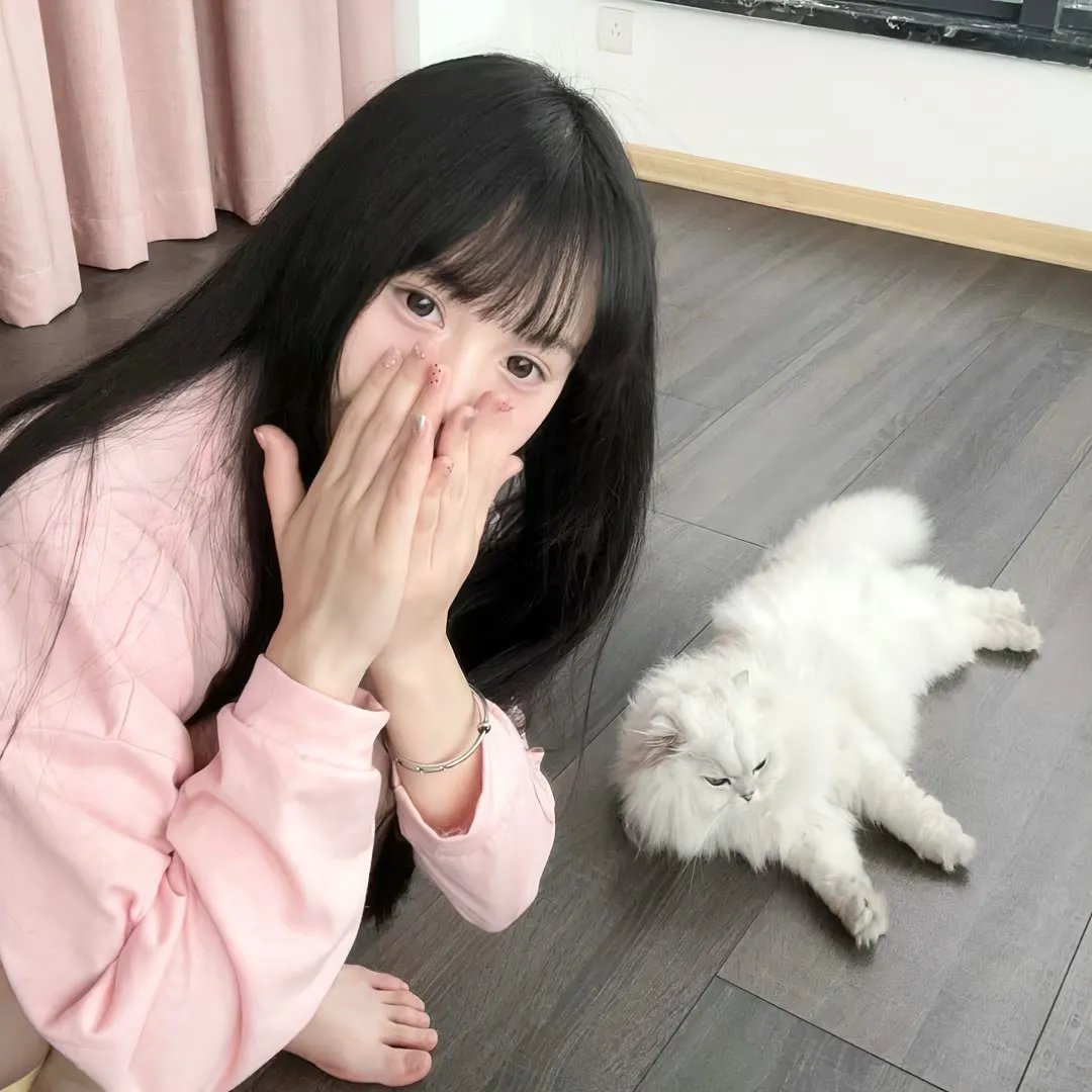 飞吧,冰上之光